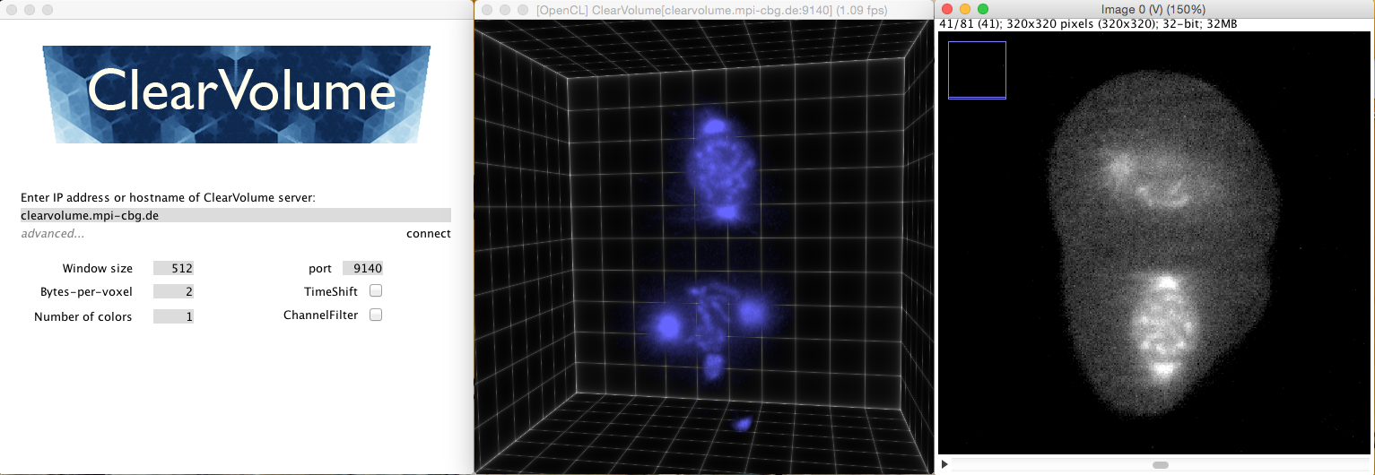 The ClearVolume network client can be started from Fiji/ImageJ2 and enables users to receive volumetric data from a remote source, e.g. live from a microscope in the basement of your collaborators institute. The ClearVolume network client can be started from Fiji/ImageJ2 and enables users to receive volumetric data from a remote source, e.g. live from a microscope in the basement of your collaborators institute.