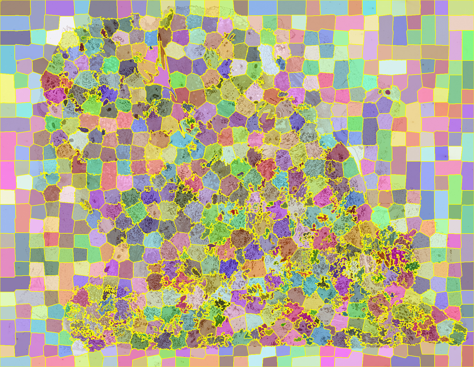 human-breast-cytokeratin-jslic-50px-0-2