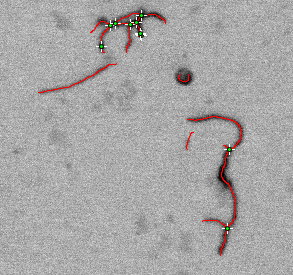 Cnt ridge detection example