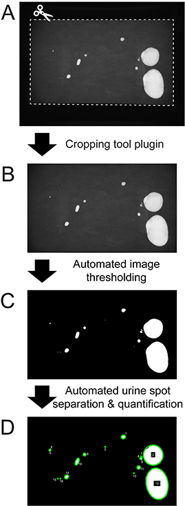 Figure_01.jpg`