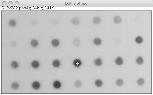 Seed point selected inside a dot for fast marching