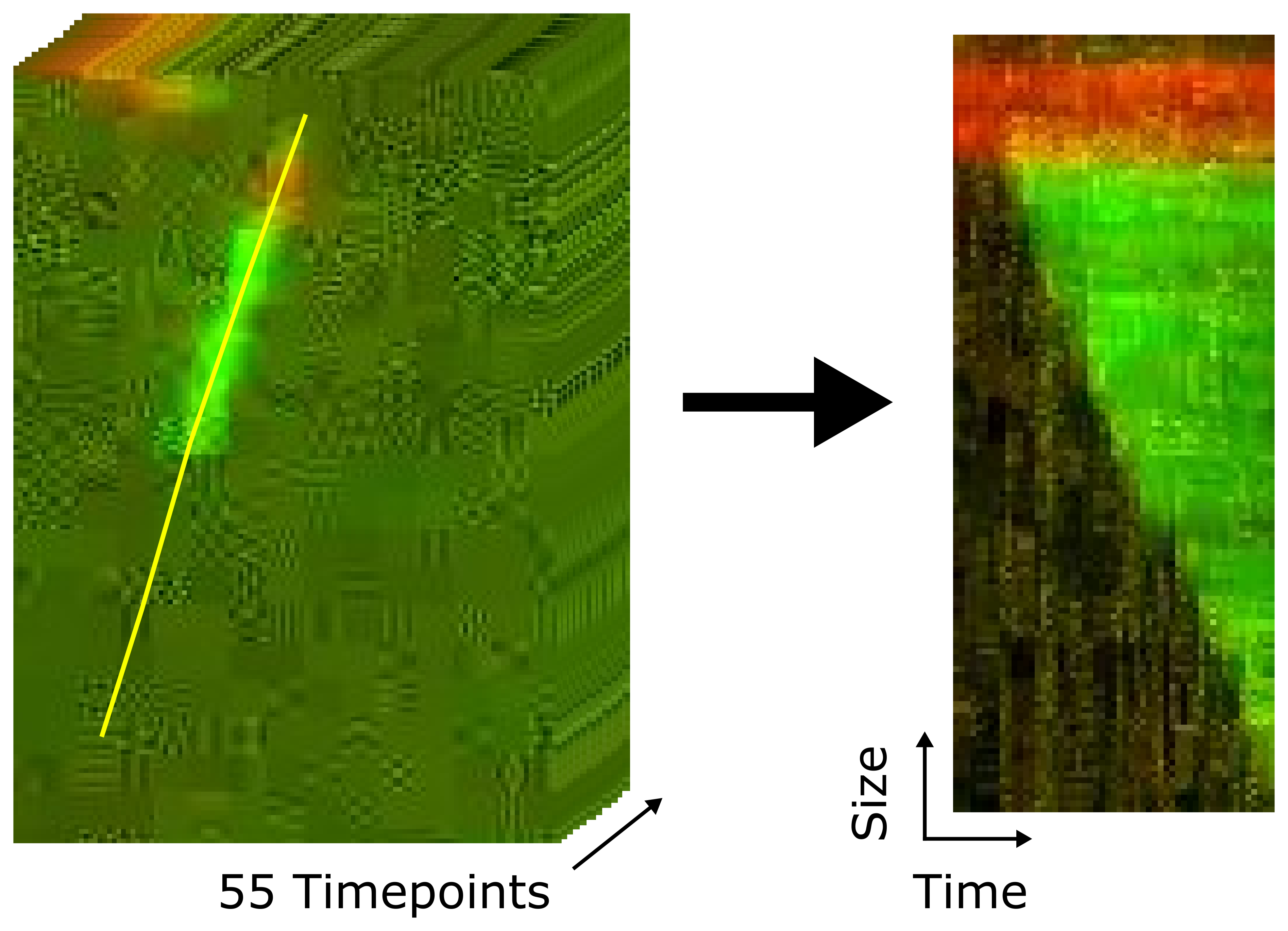 Kymograph construction