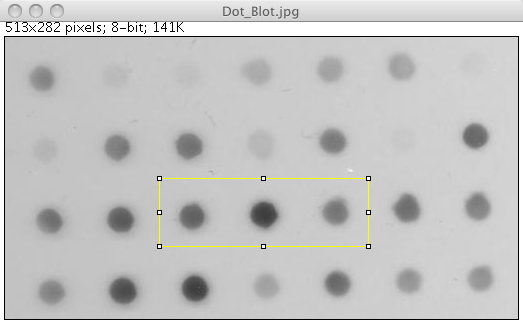 Rectangular seed selection outside the dots for Level Sets