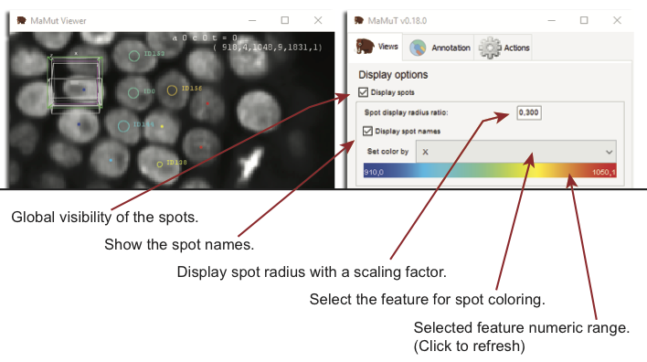 MaMuT configure spot display settings
