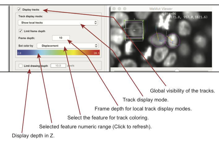 MaMuT configure track display settings