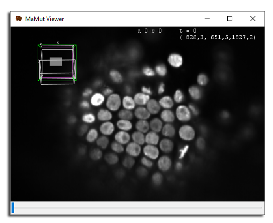 MaMuT desired view orientation