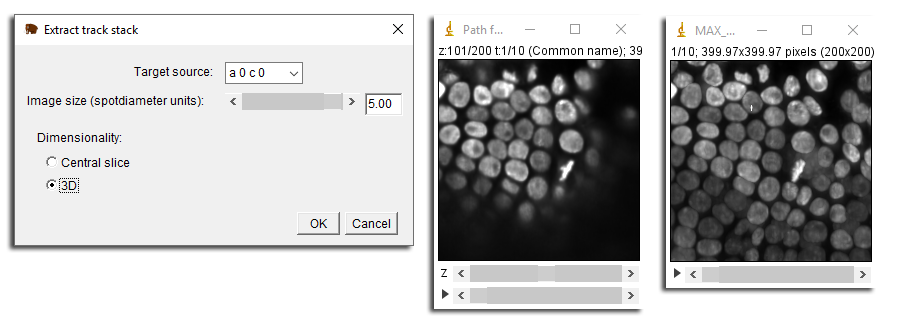 MaMuT export track stack dialog
