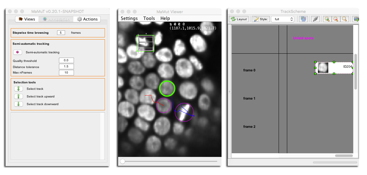 MaMuT semi-automatic tracking configuration