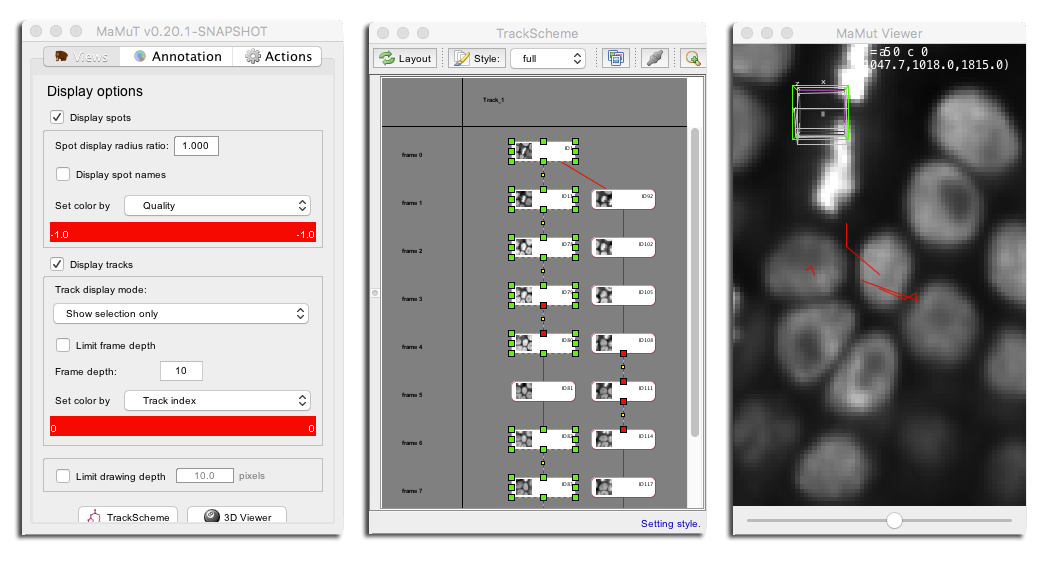 MaMuT viewer showing selection only display mode