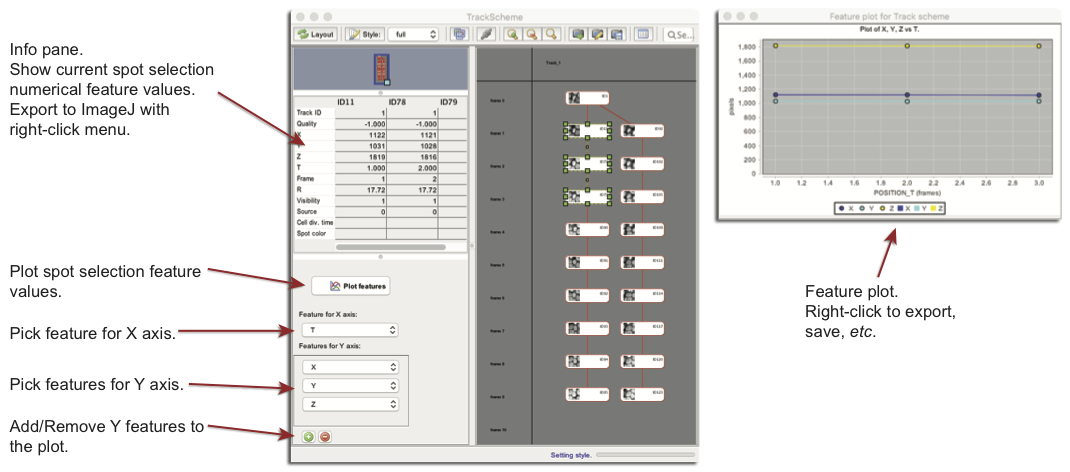 MaMuT TrackScheme info pane and feature plots sidebar