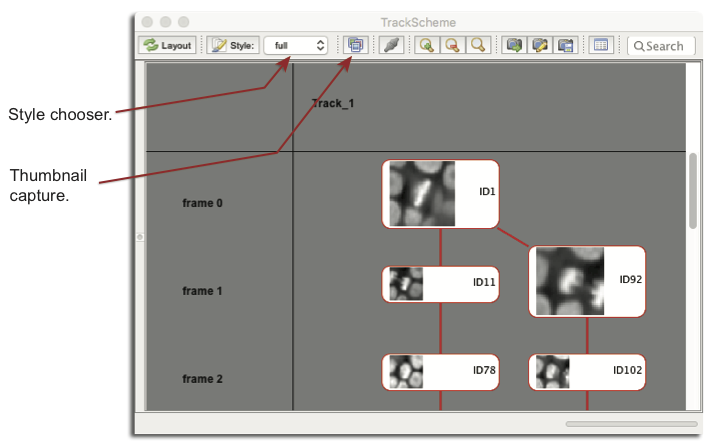 MaMuT TrackScheme with spot thumbnails
