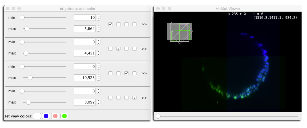 MaMuT viewer brightness and color panel