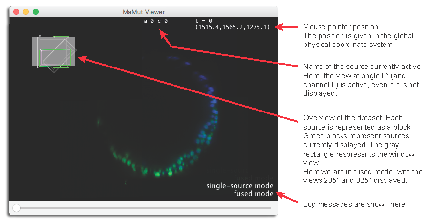 MaMuT viewer overlays information