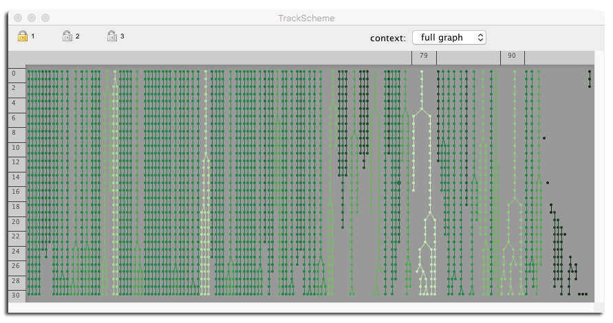 Lineage tracing 2.