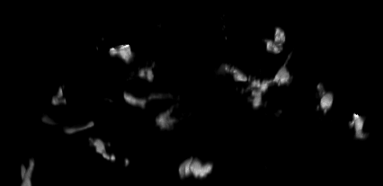 fig:Macrophages in 4D Macrophages in 4D
