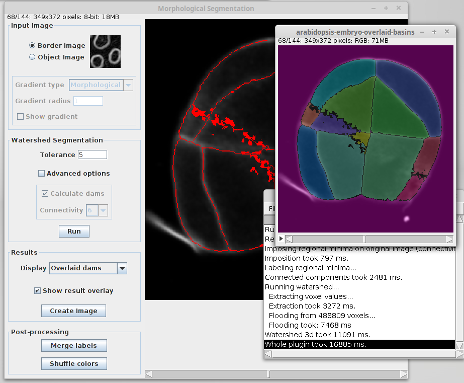 Morphological segmentation front