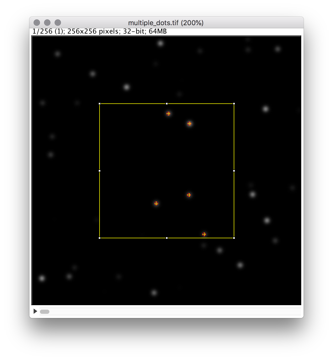 multipe-dots-interactive-dog-rs-roi