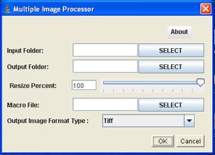 Multiple image processor