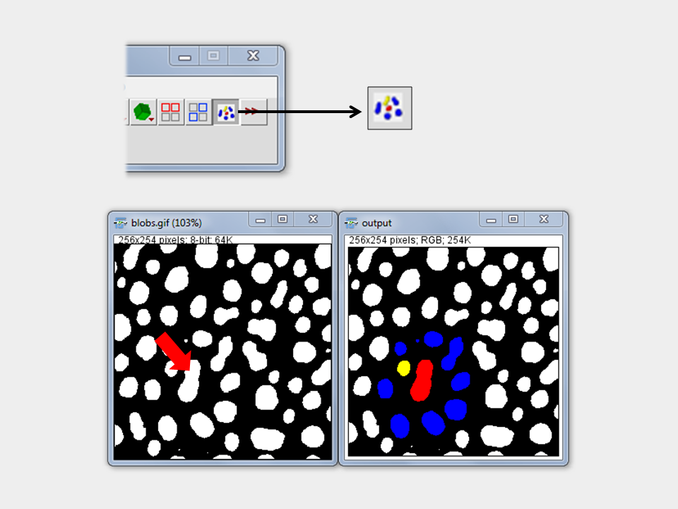 Nearest Neighbor Indicator output with POI in red, neighbors in blue, nearest neighbor in yellow