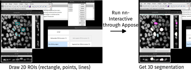/media/plugins/nninterappose/overview.png
