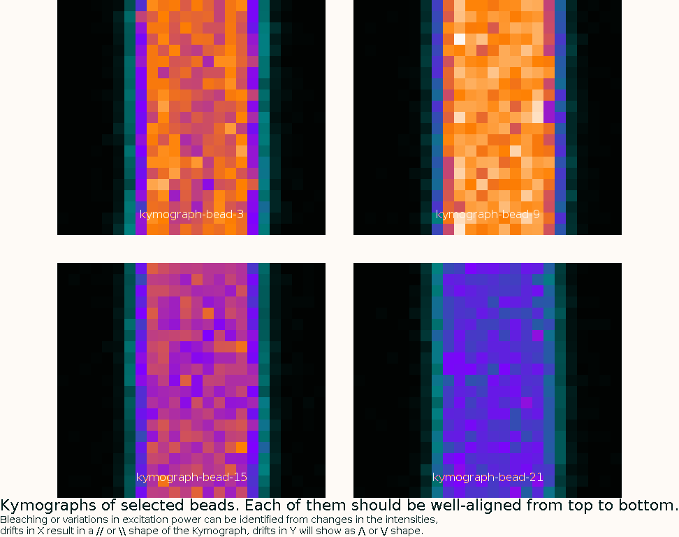 noisee/beads-kymographs