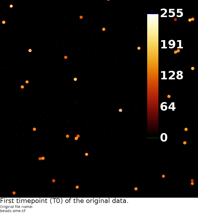 noisee/beads-original-data