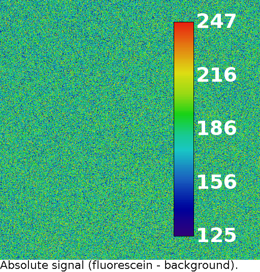 noisee/fluorescein-absolute-signal