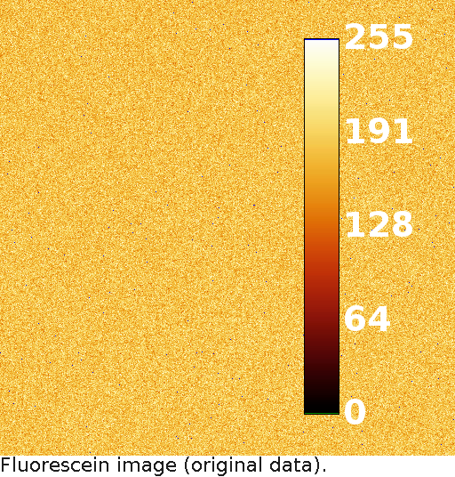 noisee/fluorescein-original-data