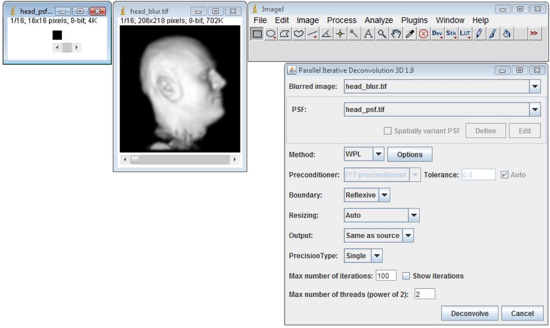 ParallelIterativeDeconvolution3DSpatiallyInvariantExample1.jpg ParallelIterativeDeconvolution3DSpatiallyInvariantExample1.jpg