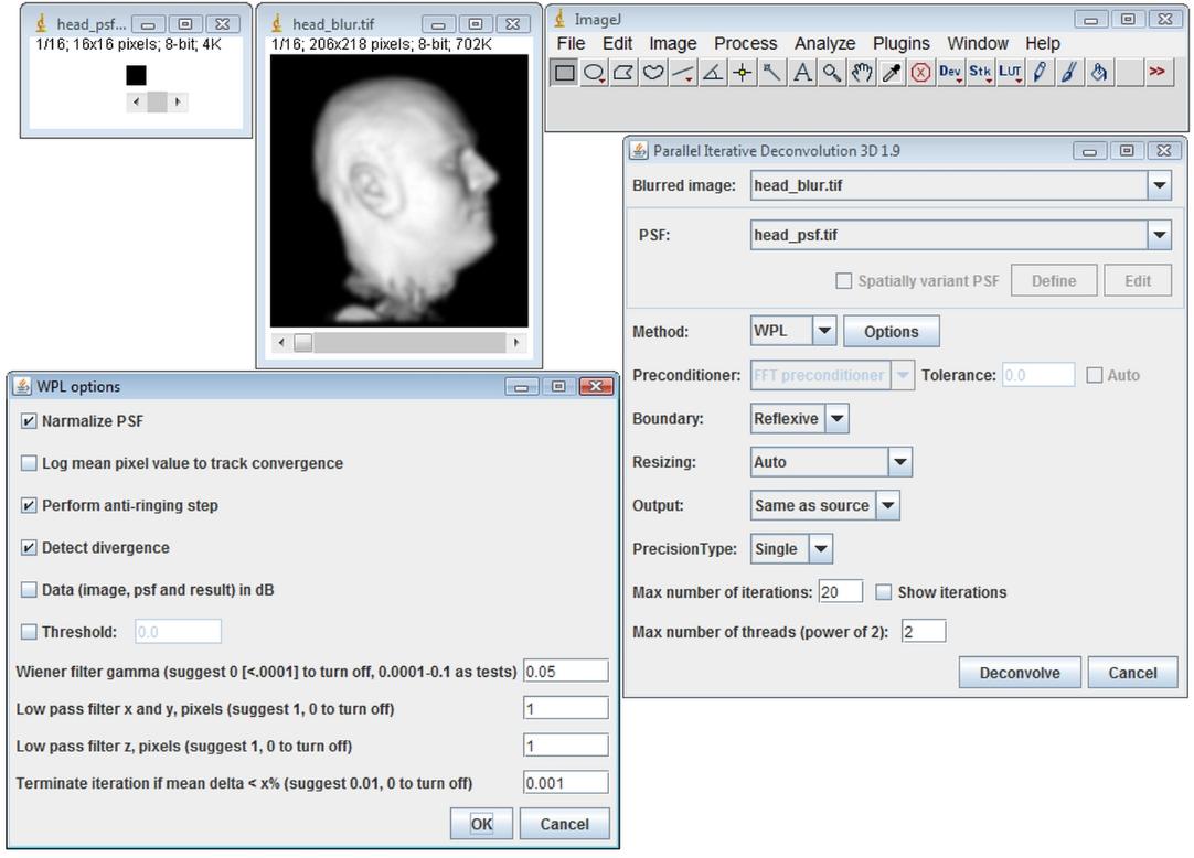 ParallelIterativeDeconvolution3DSpatiallyInvariantExample2.jpg ParallelIterativeDeconvolution3DSpatiallyInvariantExample2.jpg