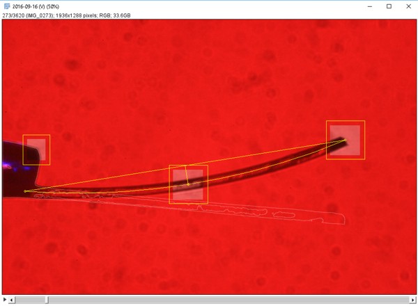 Photobend processing