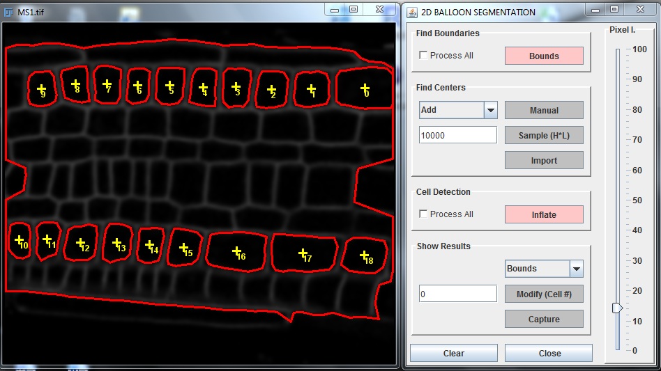 Plugin screencapture