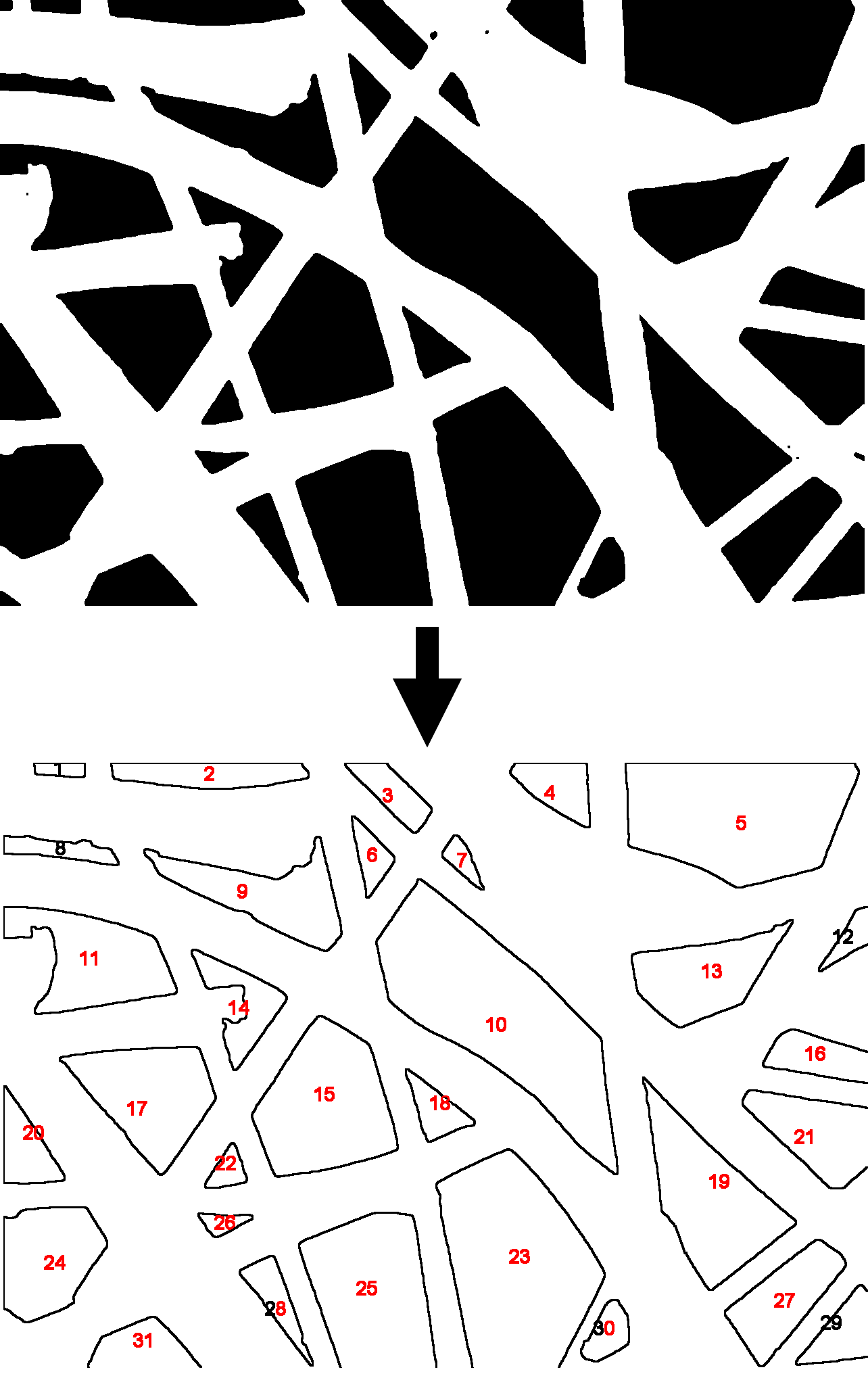 alt=Alt\|Mesh holes measured by DiameterJ