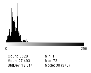 alt=Alt\|Radius histogram produced by DiameterJ