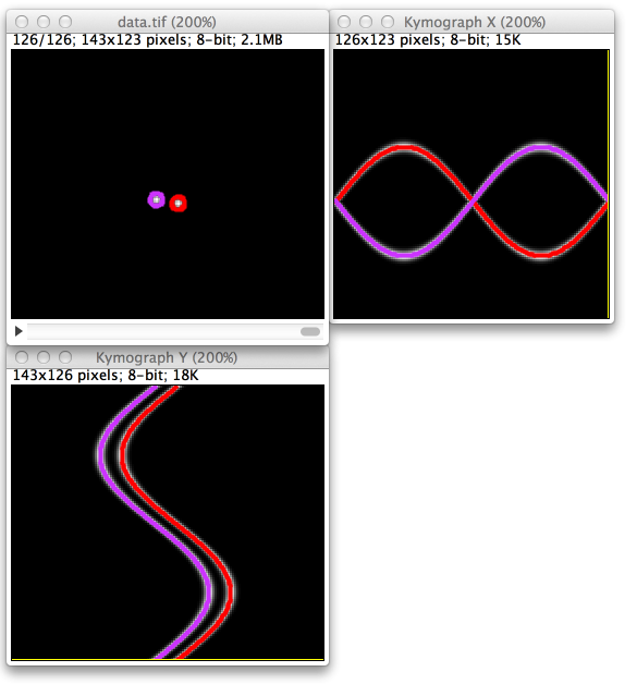 LLTT tracking result filling kymograph line