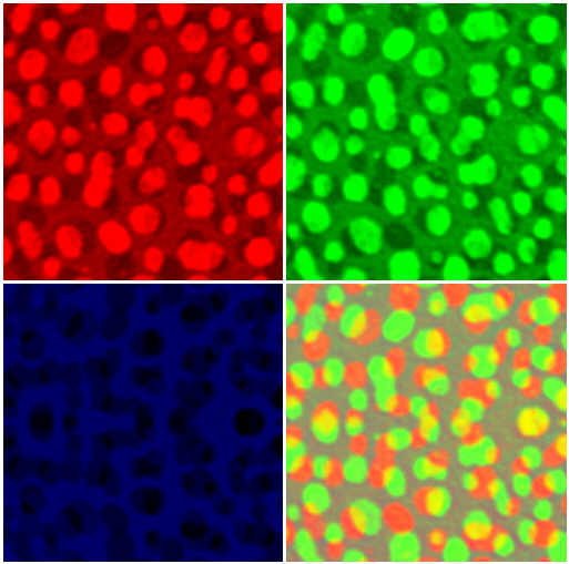 Rgb to montage example