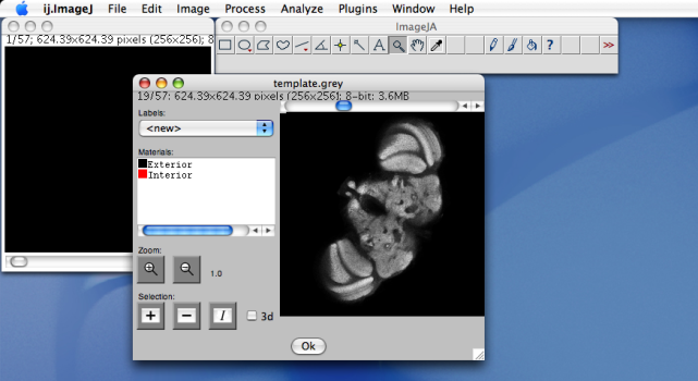 Segmentation editor 1