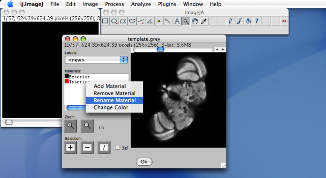 Segmentation editor 2