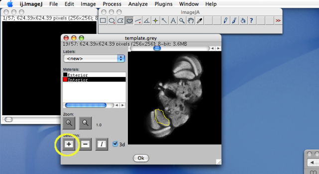 Segmentation editor 3