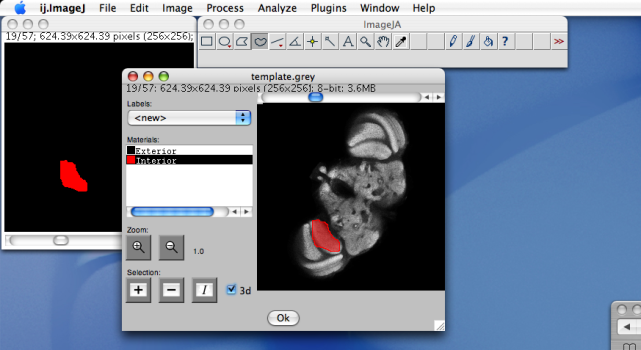 Segmentation editor 4