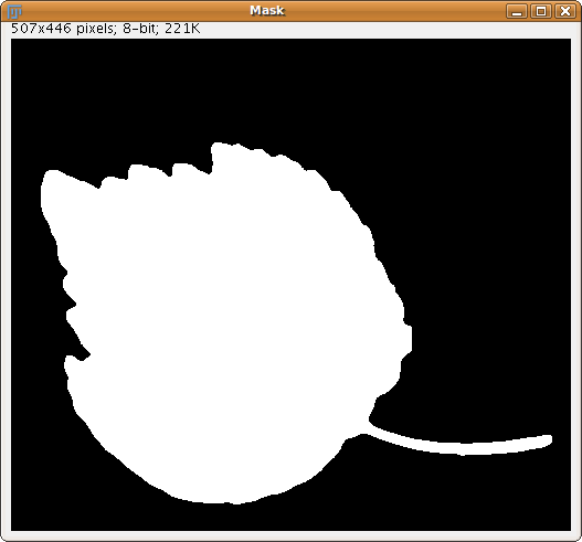 Resulting mask of Leaf sample after SIOX segmentation
