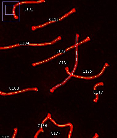 Successful ridge detection with slope-based overlap detection