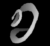 Smoothed bat cochlea volume
