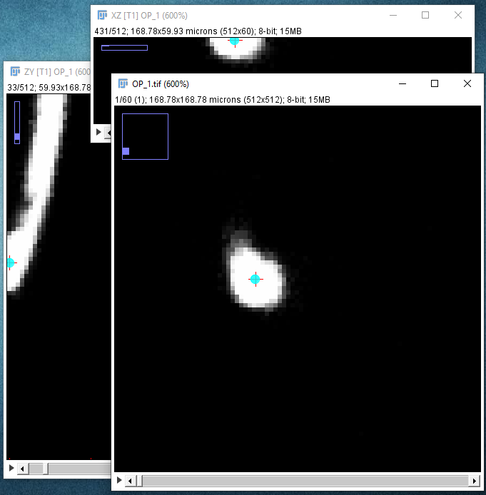 SNT left-clicking to place start point on neurite