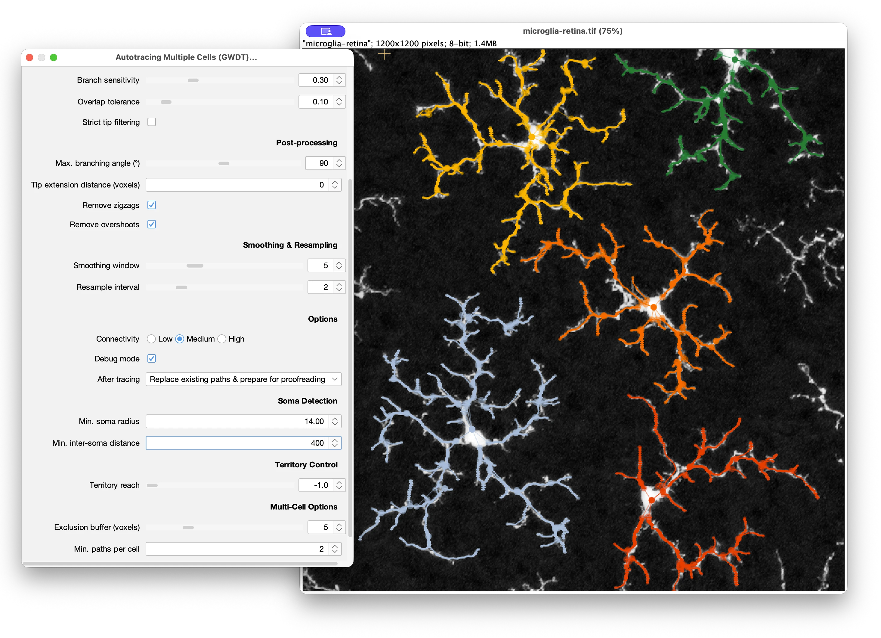 Autotracing of multiple cells