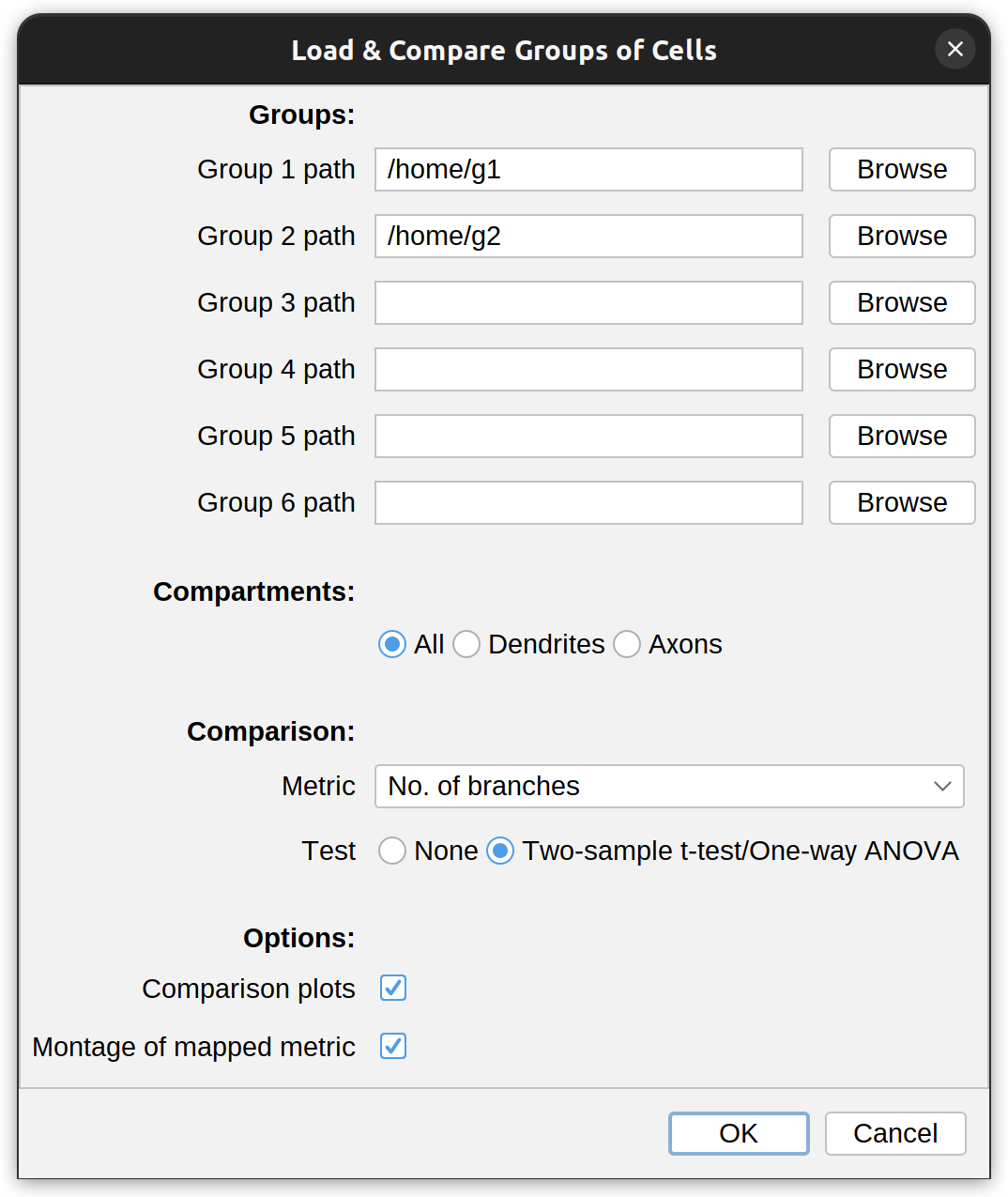 SNT Compare Reconstructions/Cell Groups prompt
