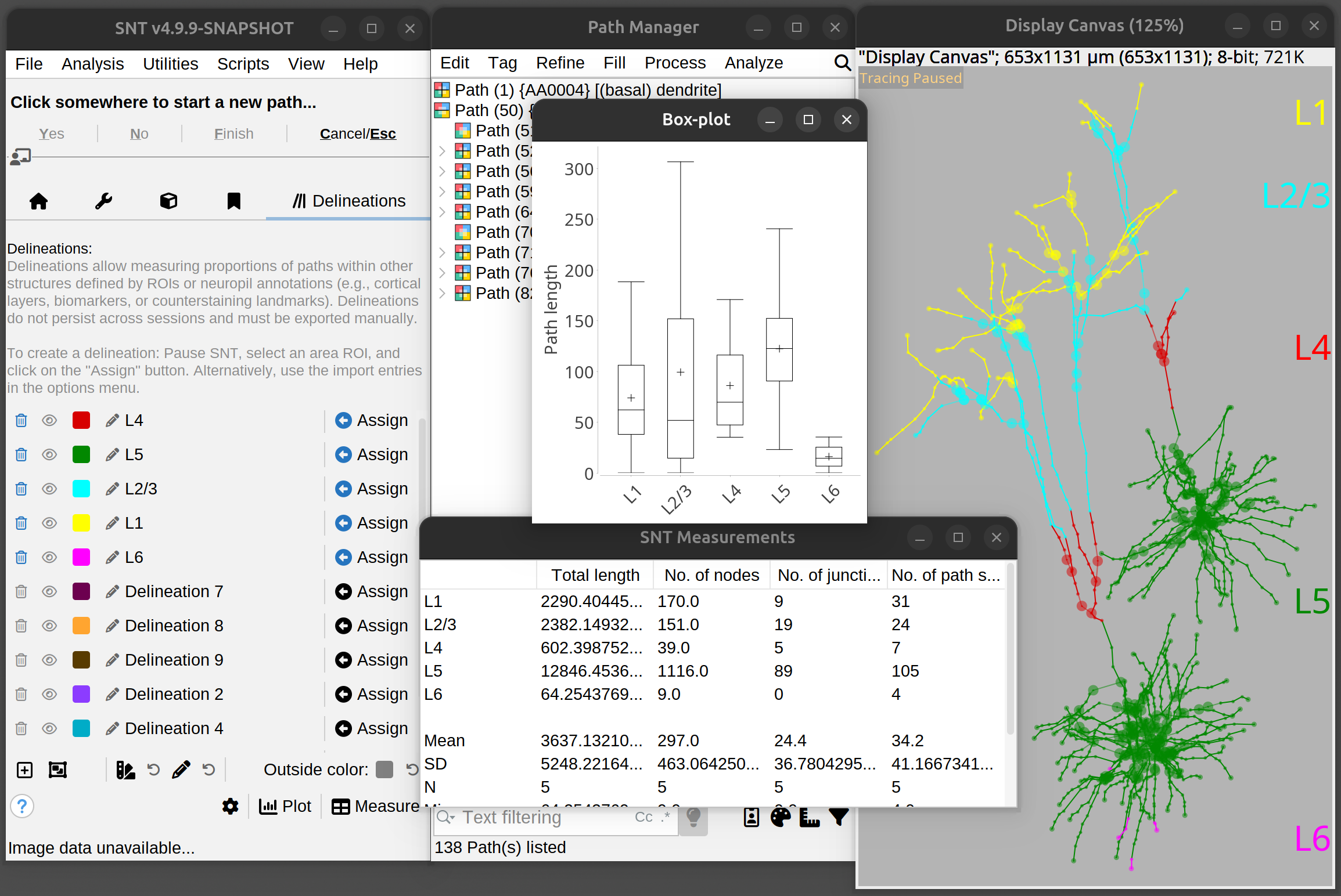 Delineation Analysis: MouseLight dendrites demo dataset delineated by cortical layers 