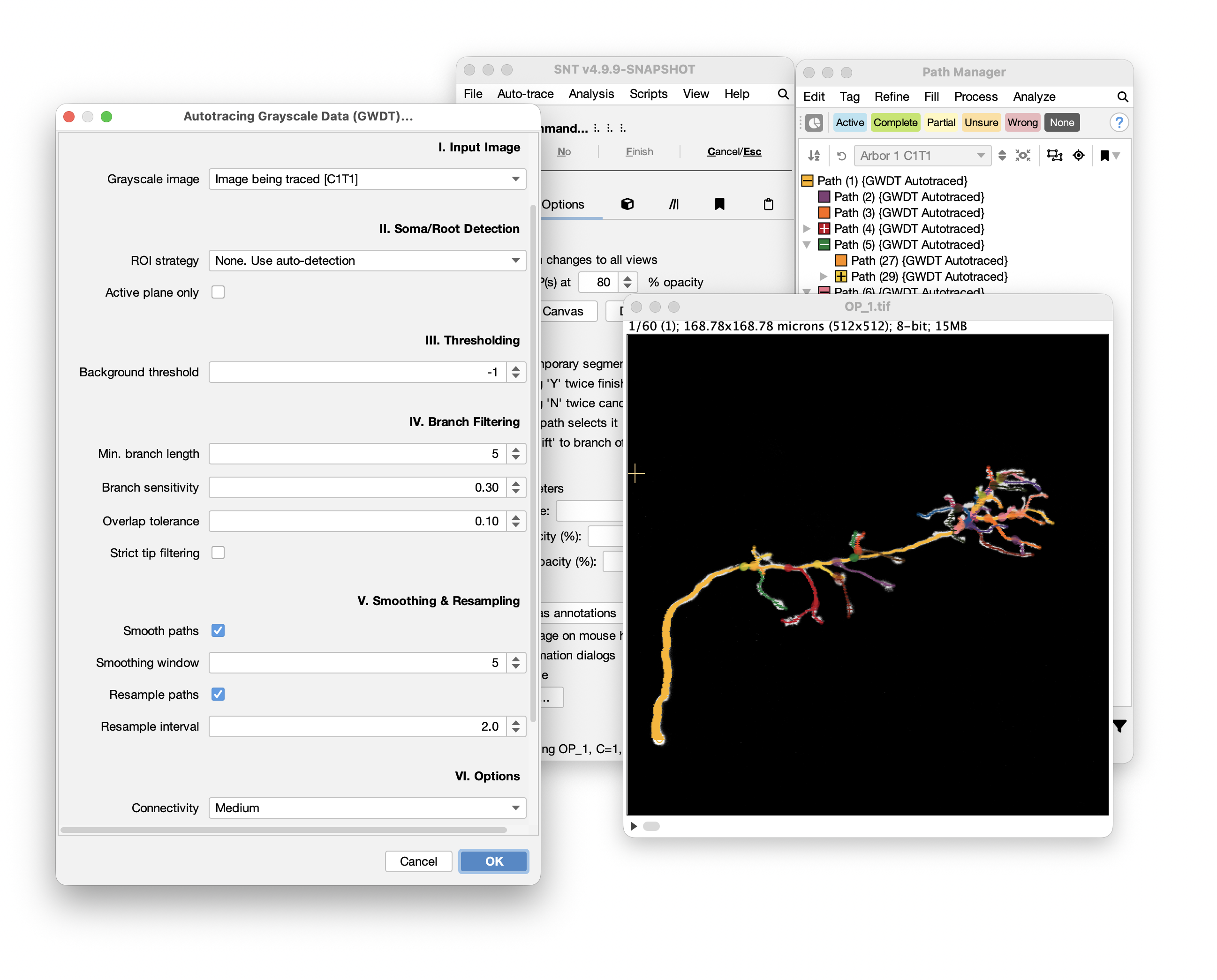 Gwdt autotracing
