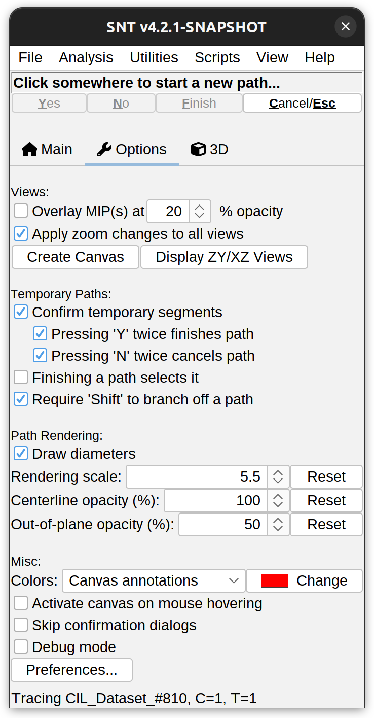 Options tab Options tab