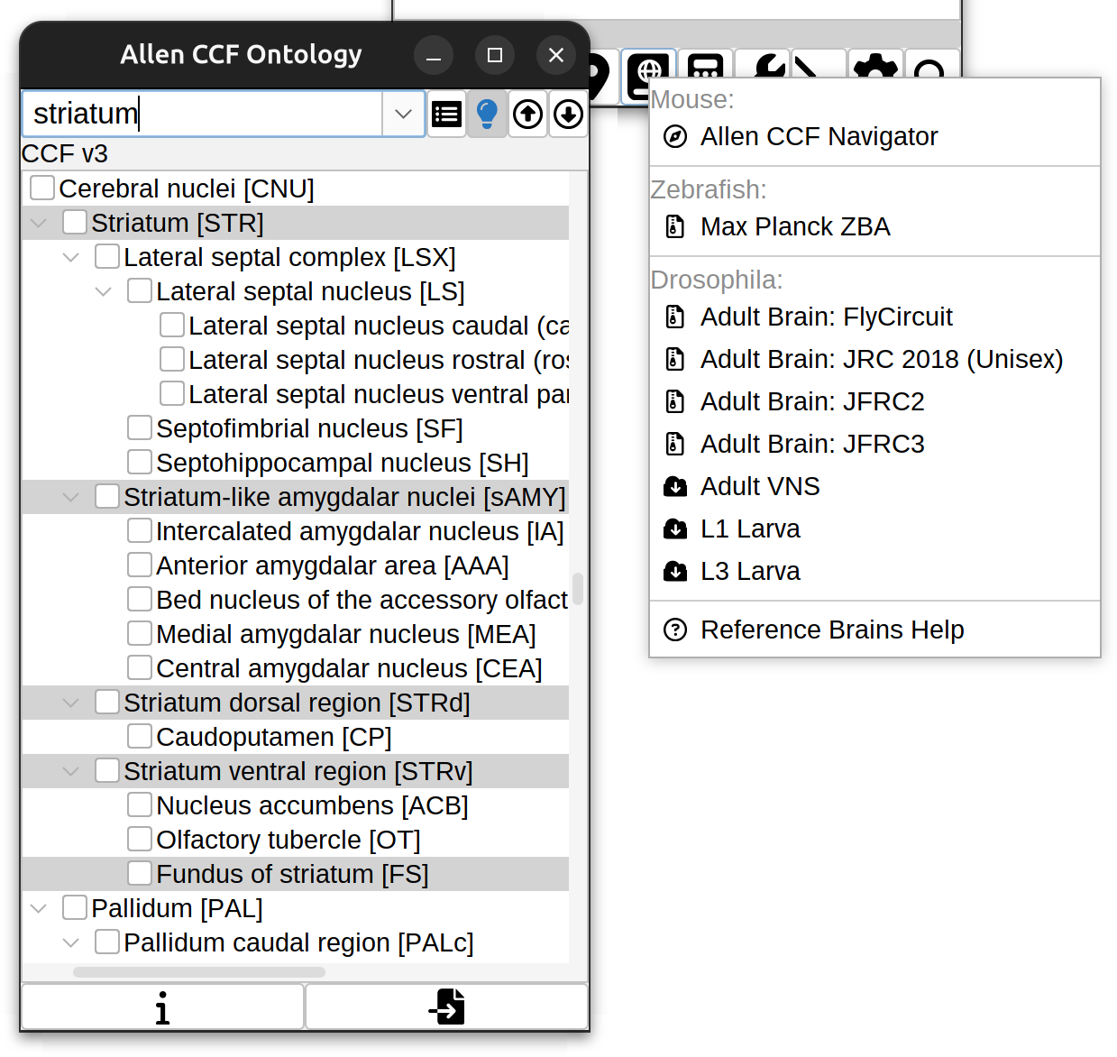 Reference Brains and CCF Navigator